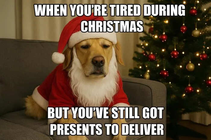 Merry Christmas Memes
