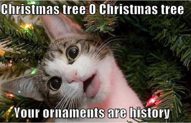 funny-christmas-meme9.