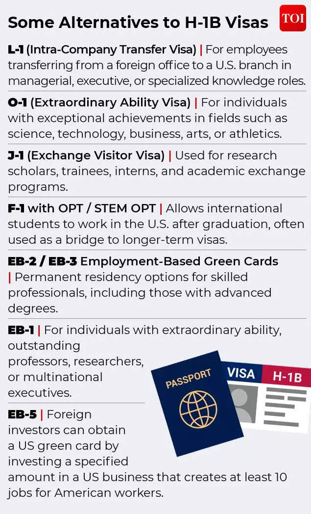 Some alternatives to H-1B visas