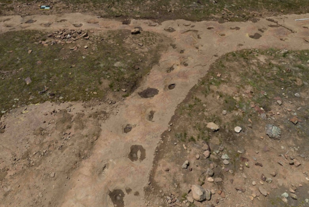 Scientists discover 150 million year old limping dino footprints fossils (Photo: University of Queensland via Earth and sky)