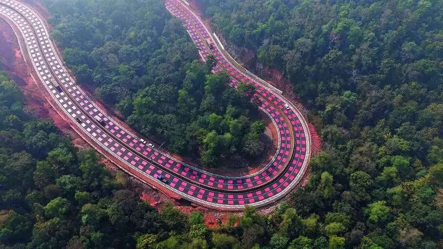 The red-marked stretch is meant to slow vehicles gradually, well before they reach the points where animals are most likely to emerge