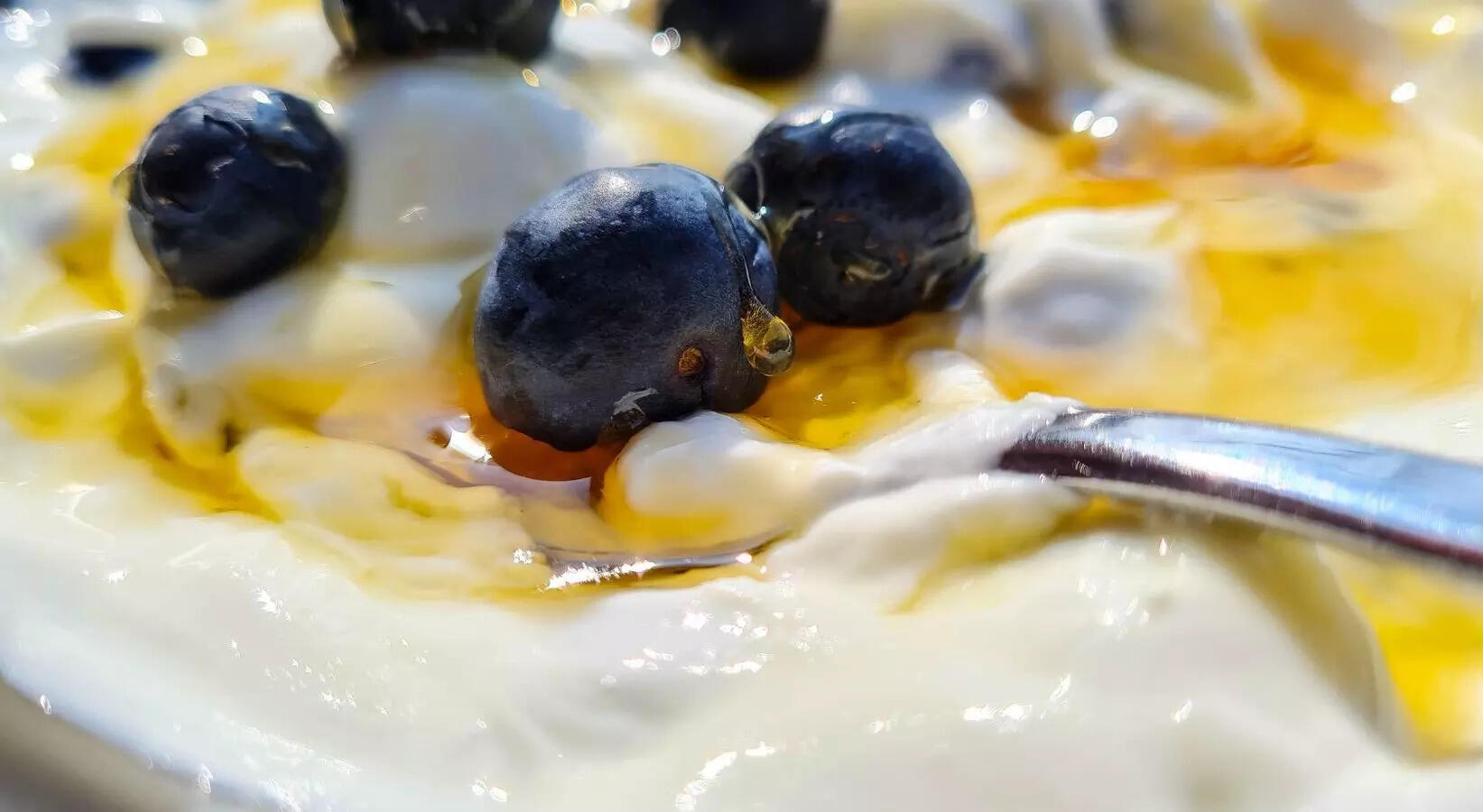 கிரேக்க தயிர், ஸ்கைர், தொங்கும் தயிர் மற்றும் தயிர் ஆகியவற்றுக்கு இடையேயான சுவை வேறுபாடுகள்