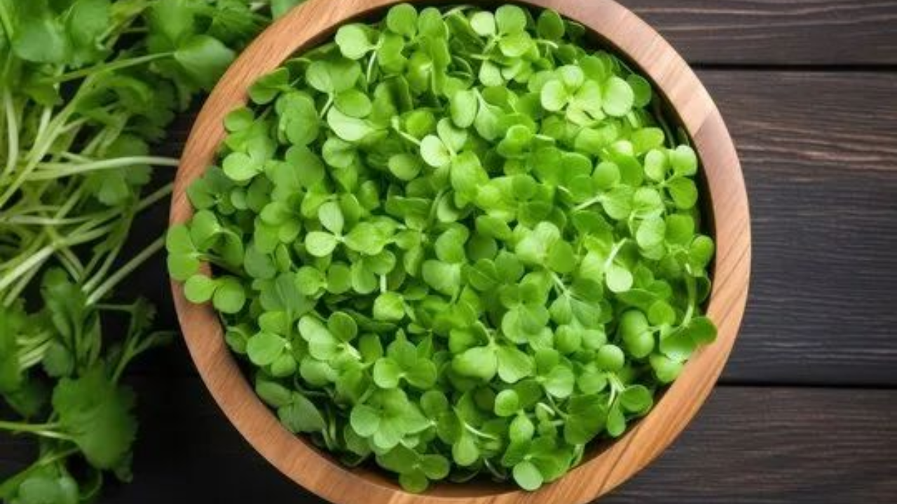 Plant-Based Hair Serum From Brahmi