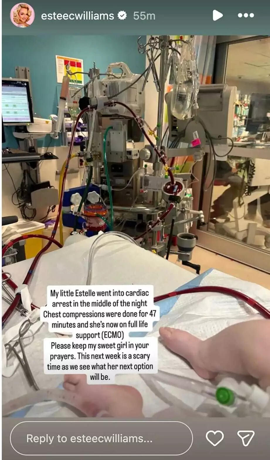 புகைப்படம்: Instagram/@esteecwilliams