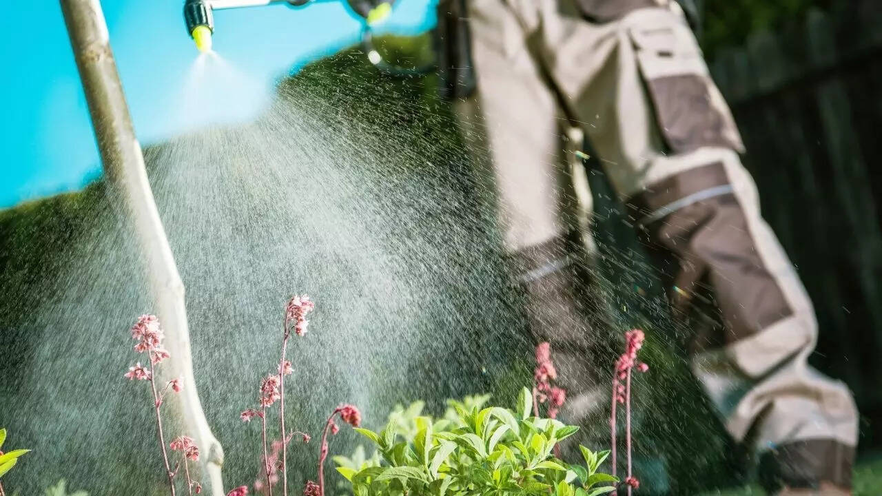 Fertiliser