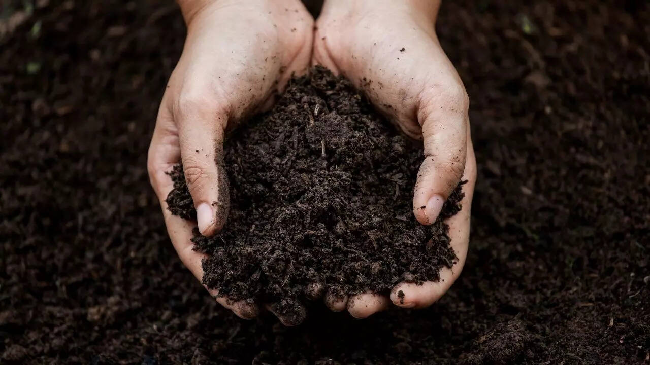 Soil