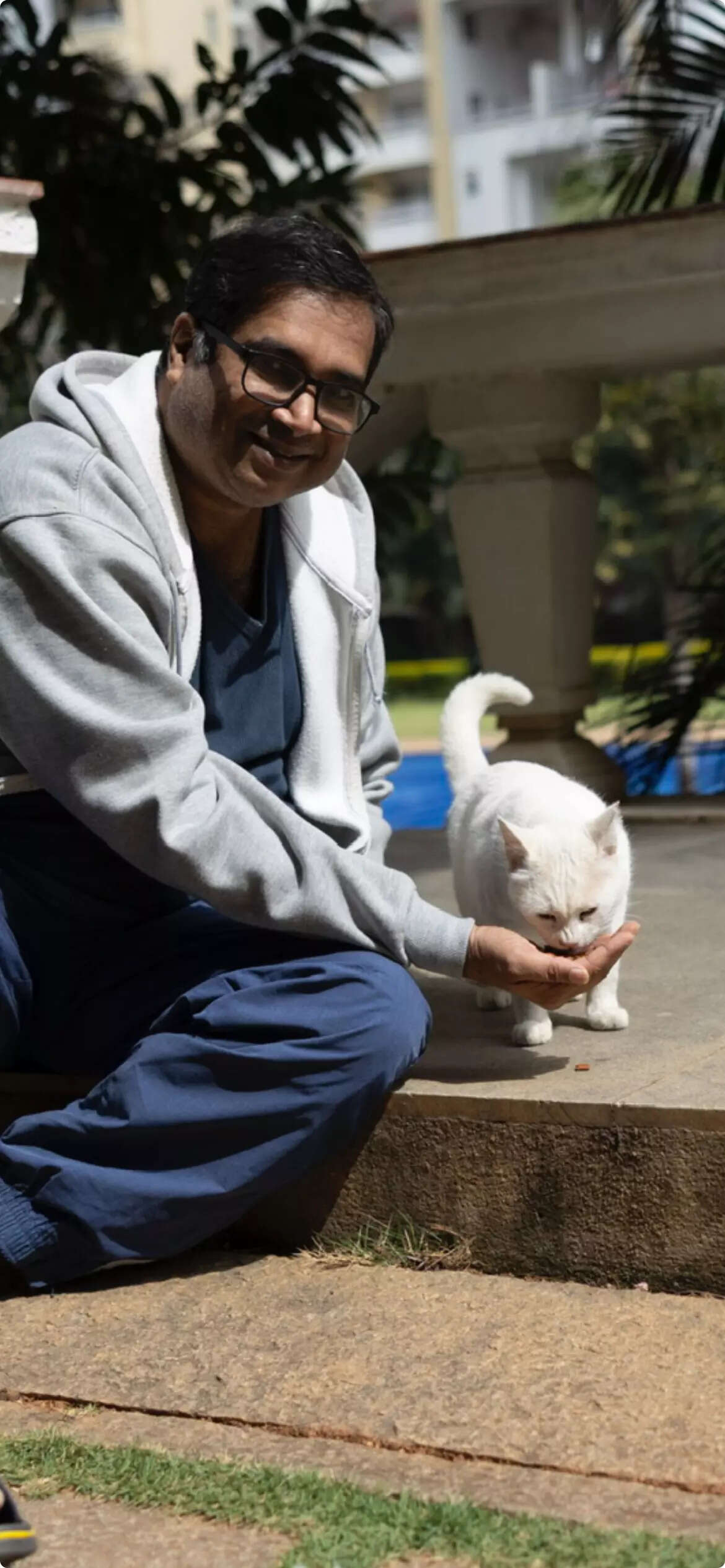 Cat 3. Oliver with Buttons