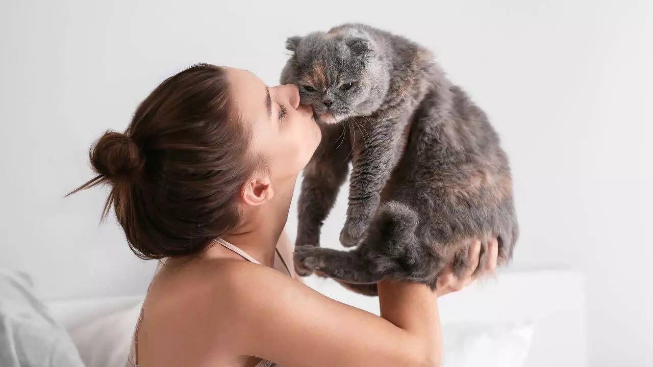 உங்கள் பூனையின் இரவு நேர உற்று நோக்கும் போது கவனம் தேவை