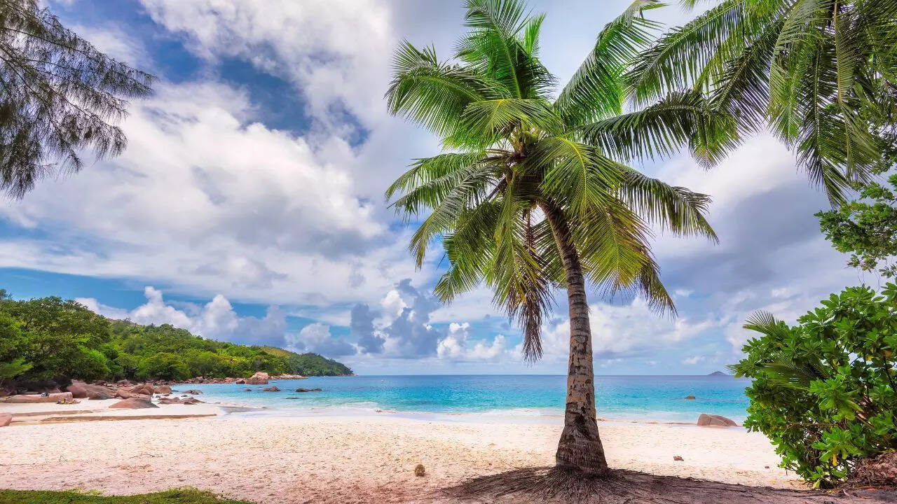 1. பட்டர்ஃபிளை பீச், கோவா