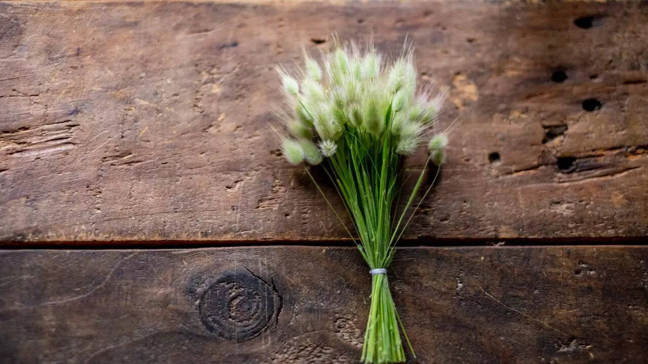 2. ரைகிராஸ் கலவைகள்