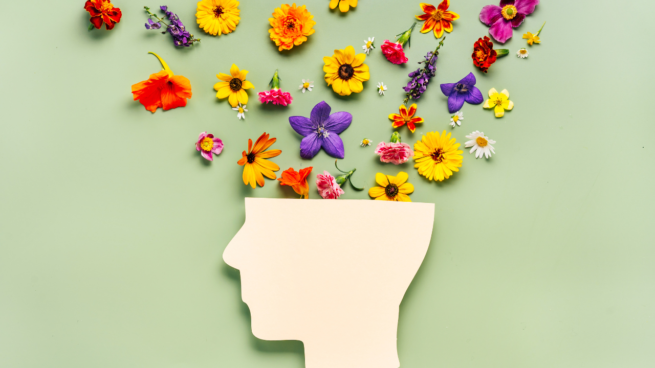 புகைப்படம்: கேன்வா