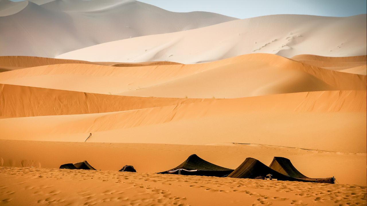 Archaeologists discover a 500 year old ship buried in Namibian desert-- Representative Image