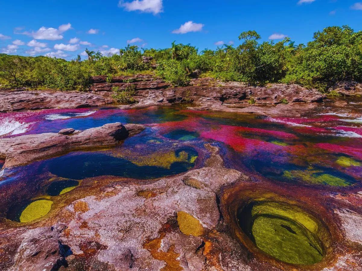 Rainbow river