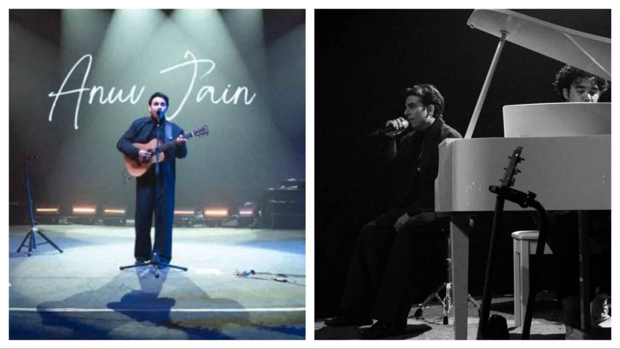 लुधियाना में अपने संगीत कार्यक्रम के दौरान अनुव जैन (अंगद पाटिल)