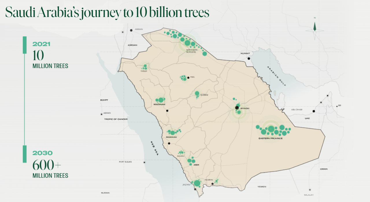 Saudi Arabia trees