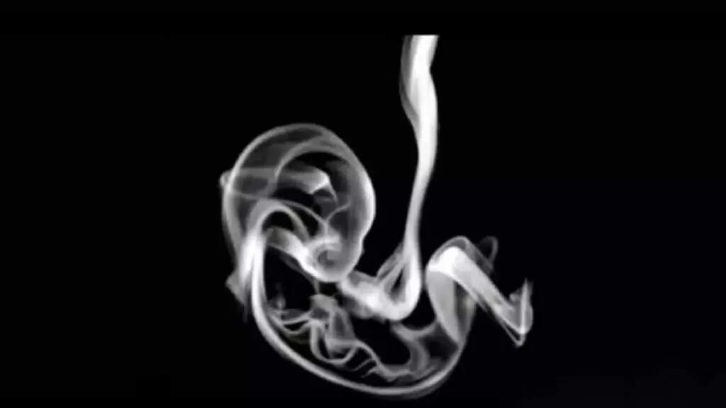 கடன்: Valleyvanguardonline