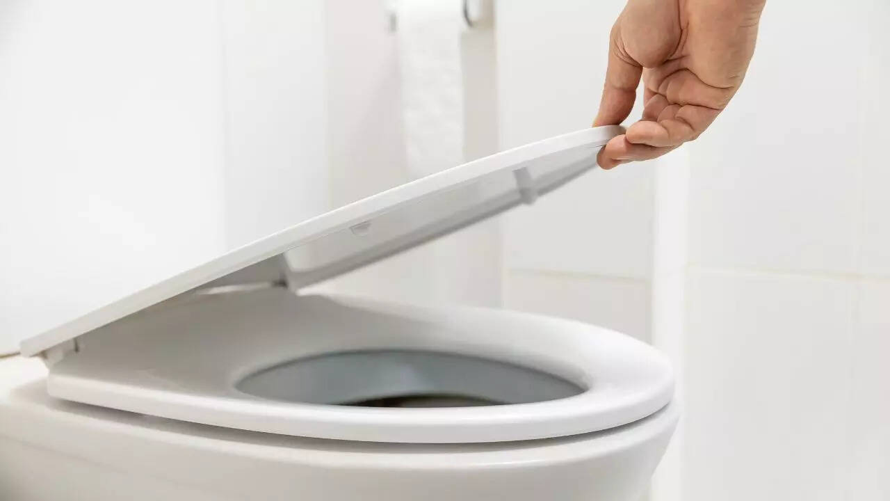 The hidden reason you should close the toilet lid before flushing | 3 Why closing the toilet lid before flushing still makes sense