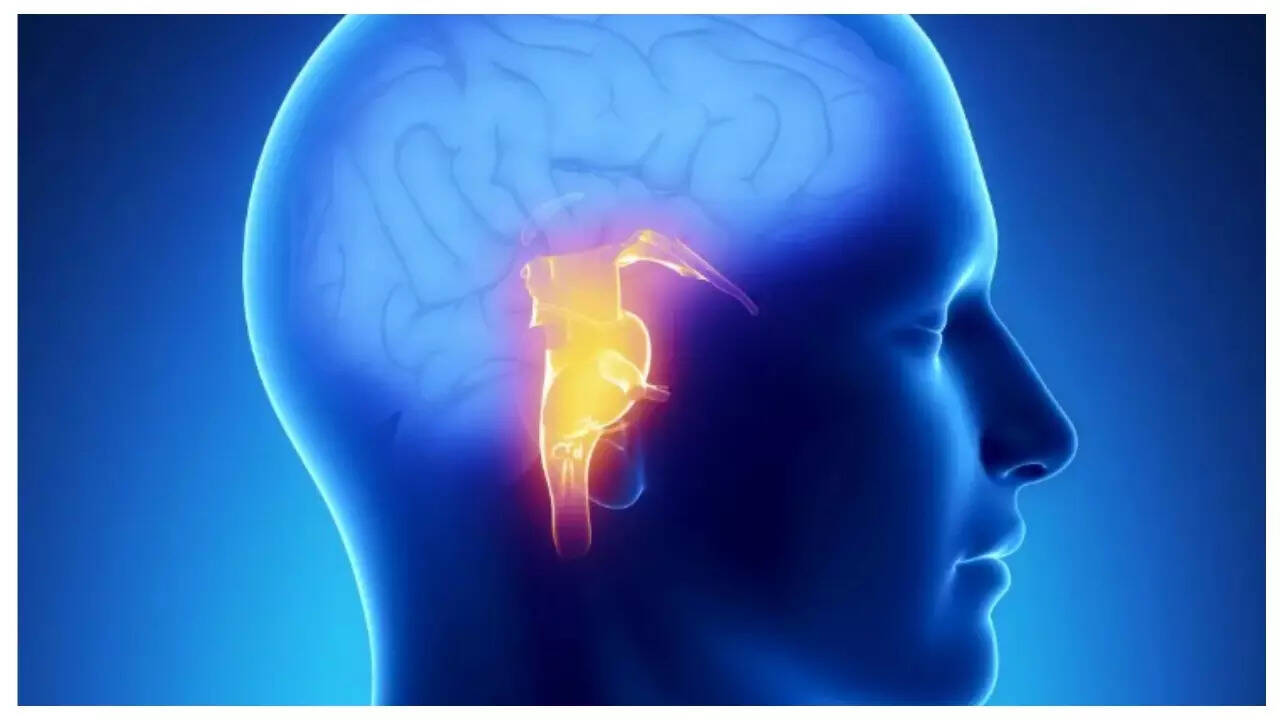 Even mild dehydration can 'shrink' your brain: Here's what you should do to prevent it 4 789