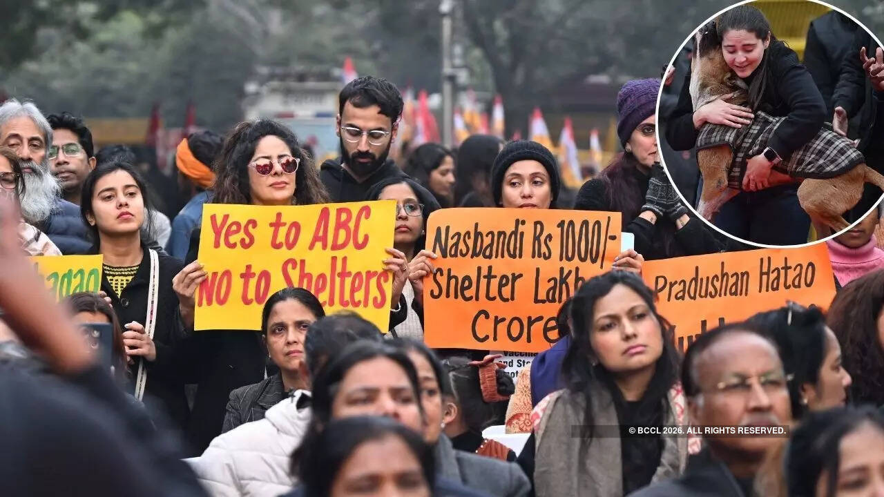 Placards and slogans pointed at various human rights issues