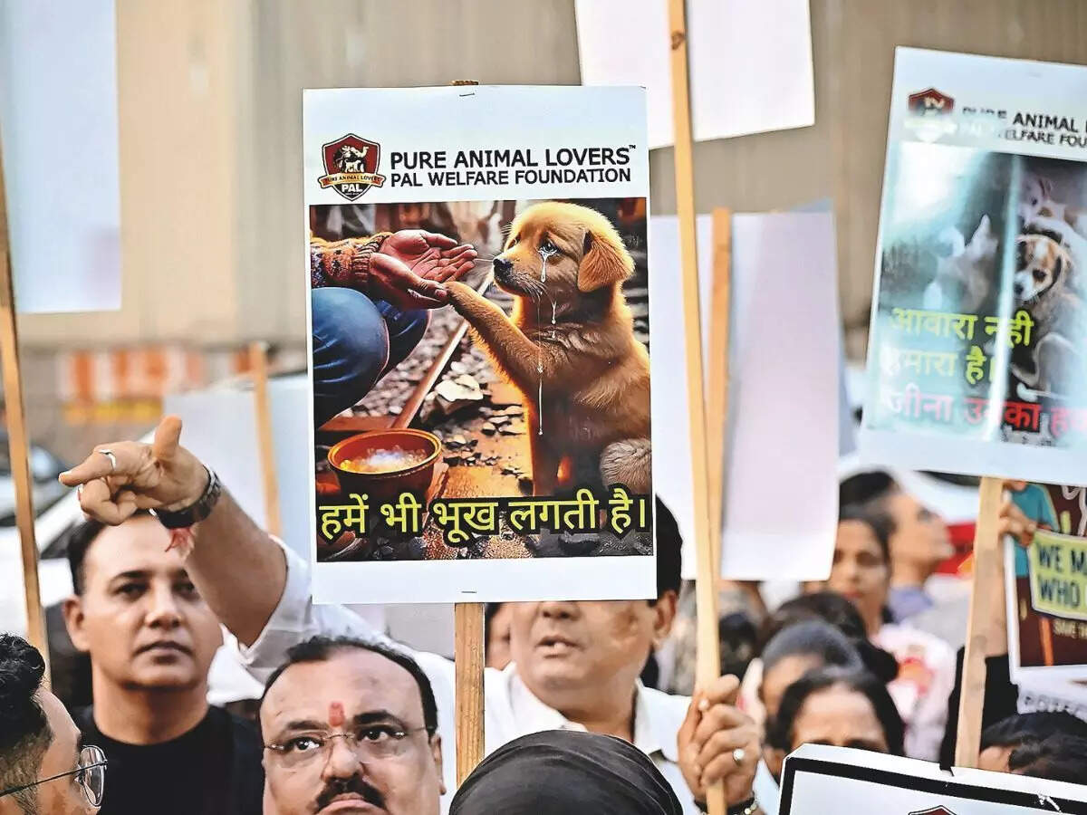 Stray-dogs-protest-2
