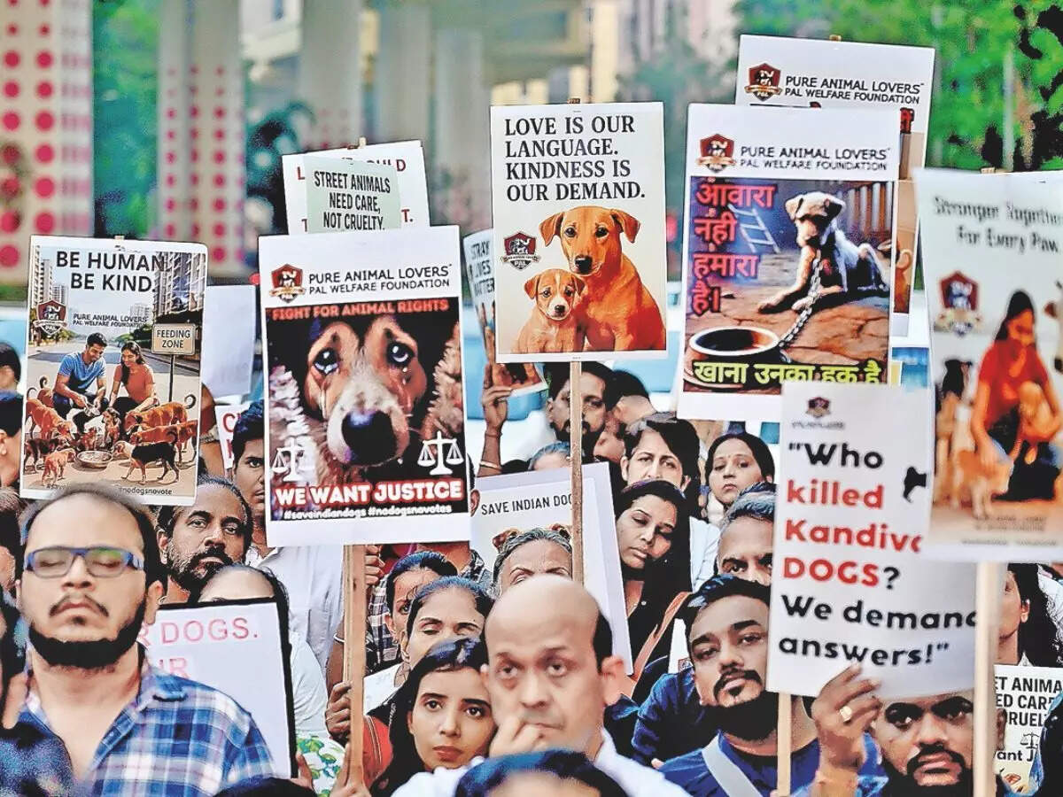 Stray-dogs-protest-4