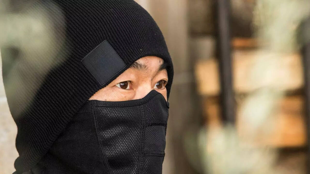 மங்கி கேப் ஏன் இன்றும் உயிர் வாழ்கிறது