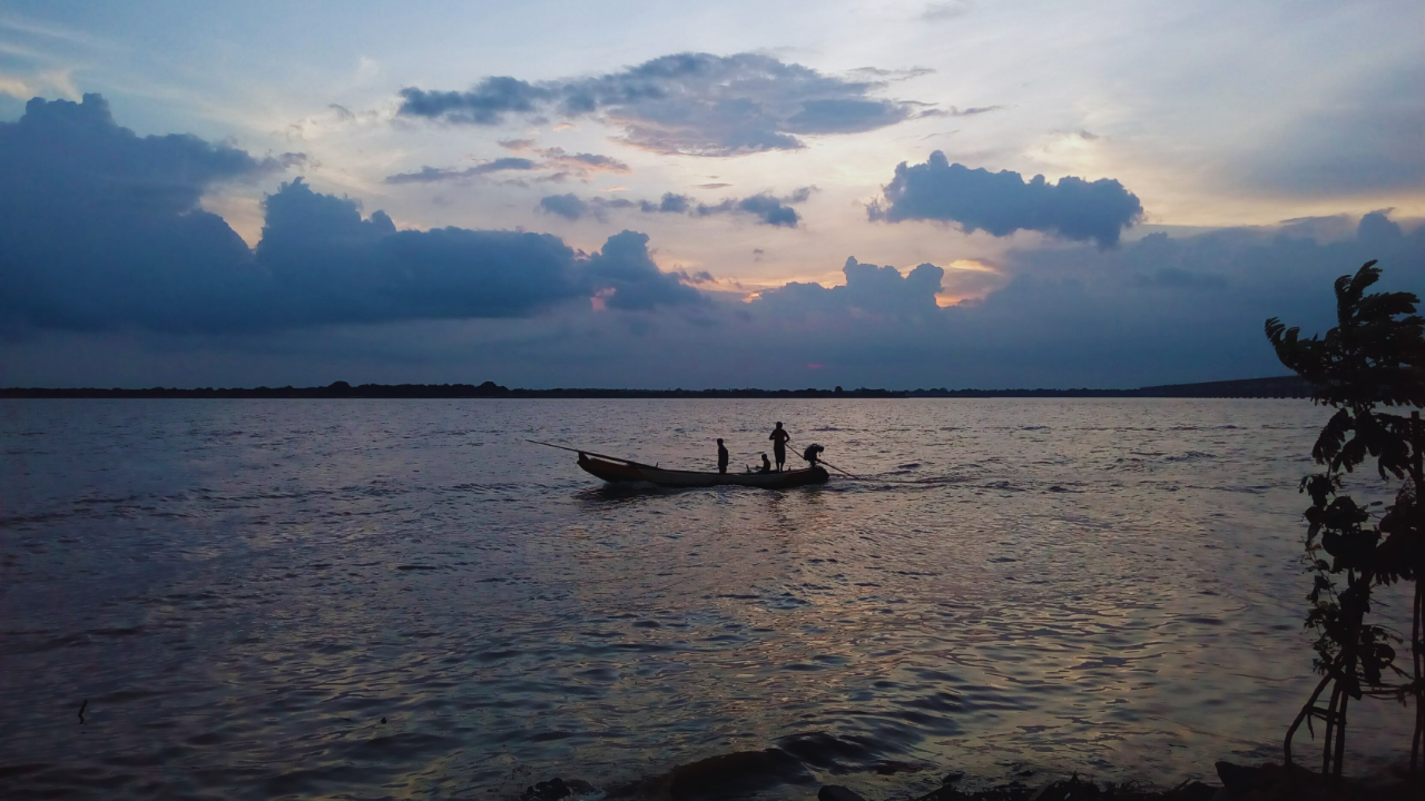 கோதாவரி