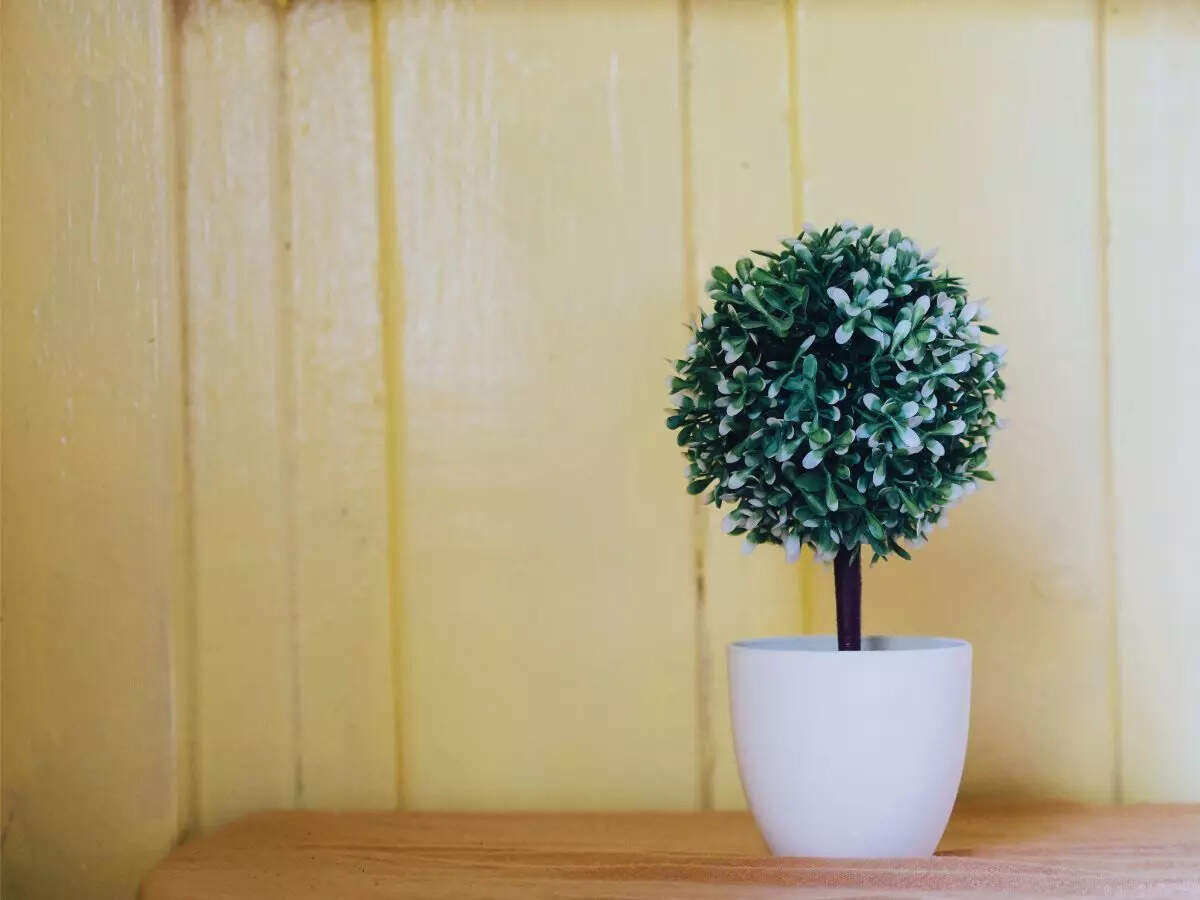 போலி ஆலை