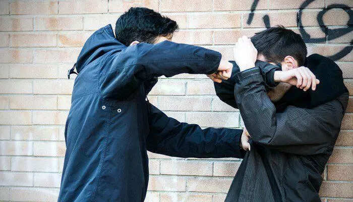 ​Hollywood Lies About Fights. Steven Pinker Says One Punch Can Be Fatal​