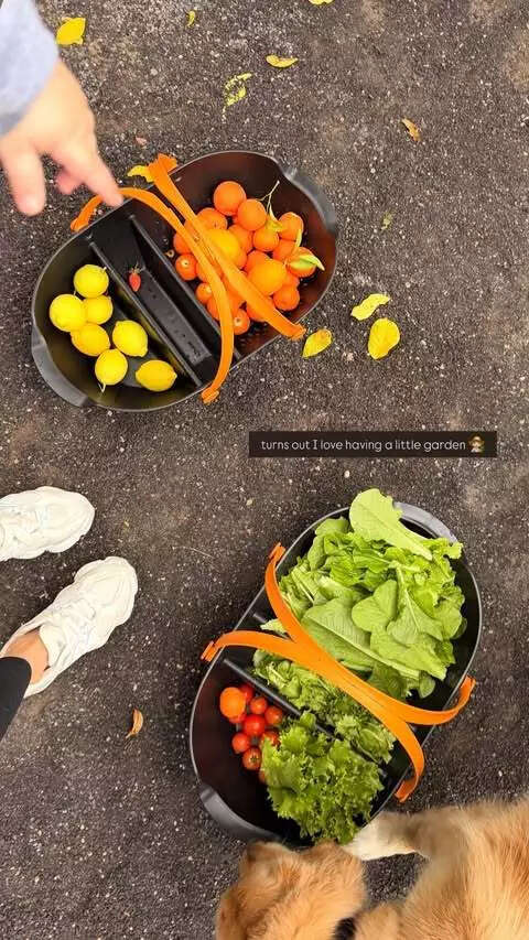 Gardening