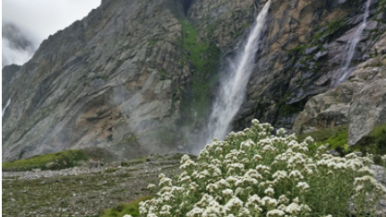 வசுந்திரா நீர்வீழ்ச்சிகள்