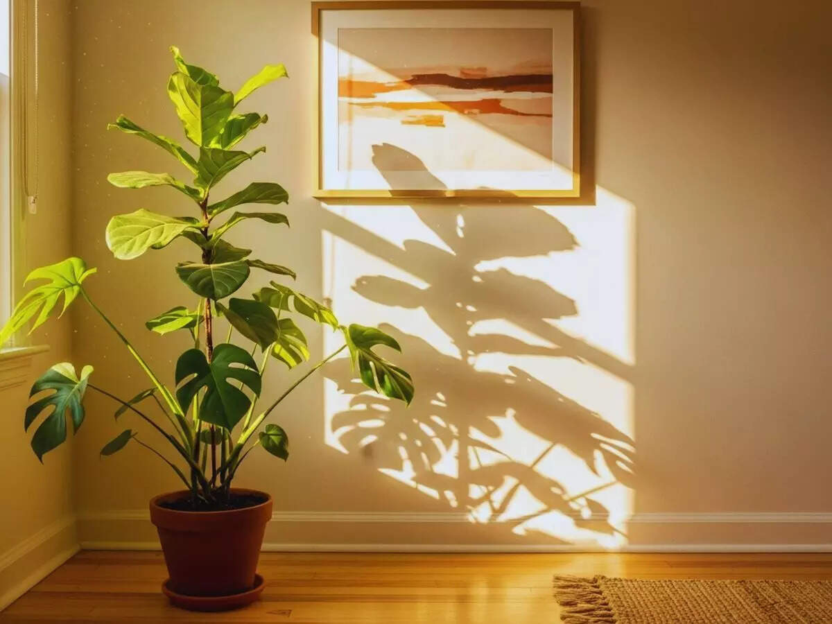 சூடான சூரியன்