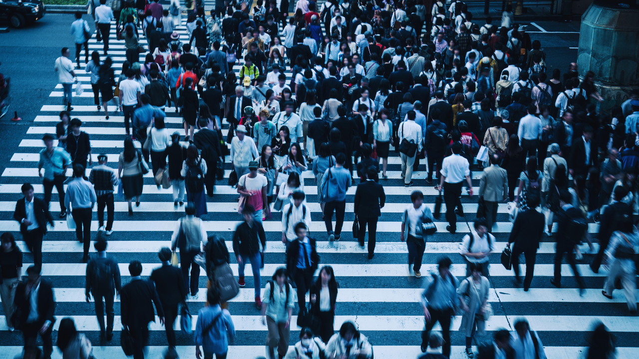 மேலதிக சுற்றுலா