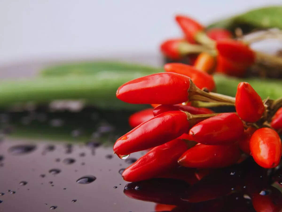 சிவப்பு மிளகாய்