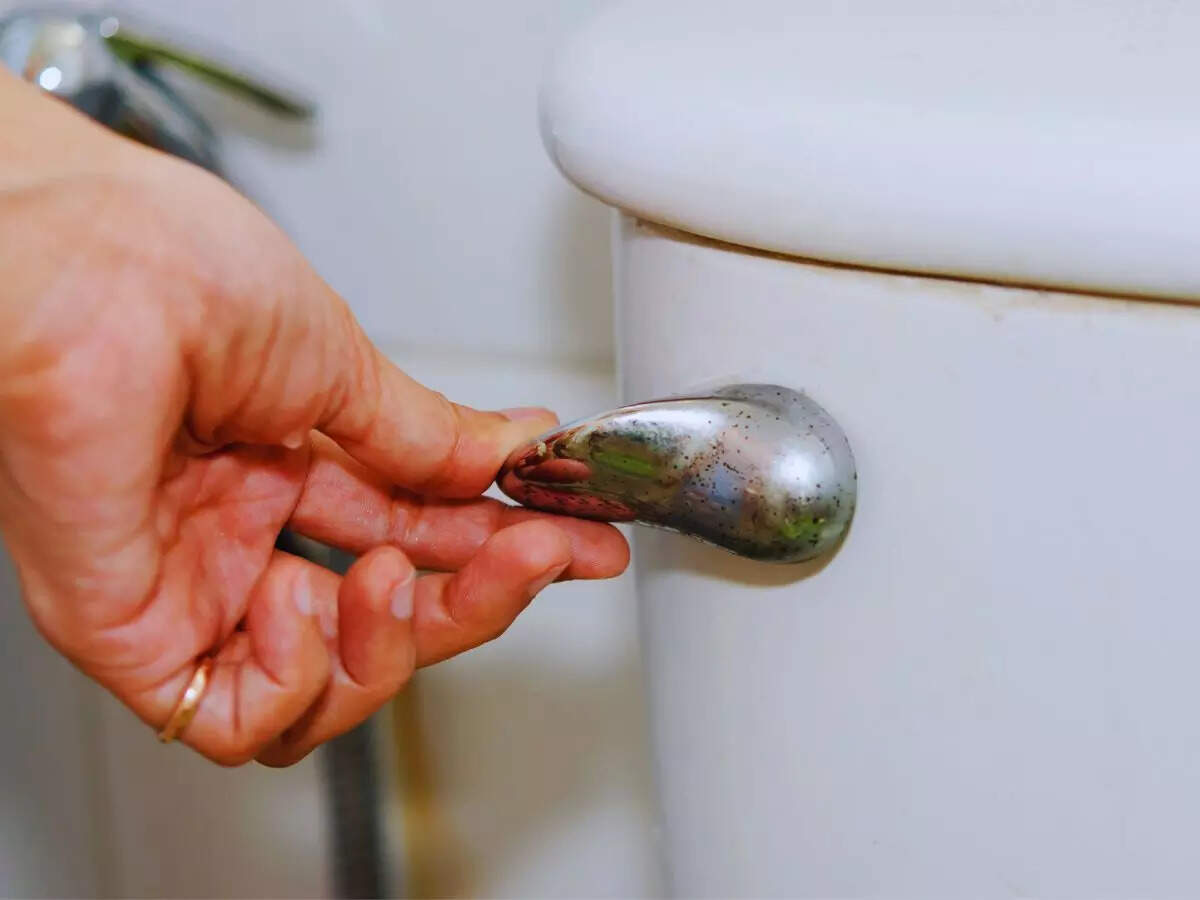 கழிப்பறை பறிப்பு