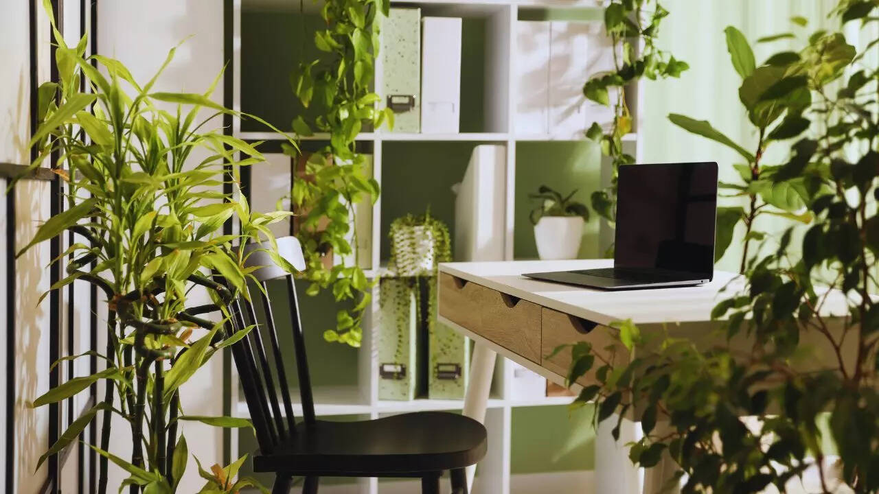 Nature- inspired approach brings the outdoors into our daily lives.