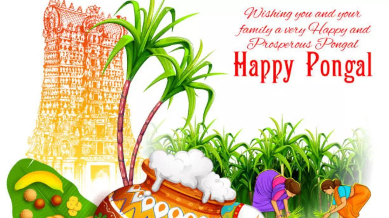 Happy Pongal
