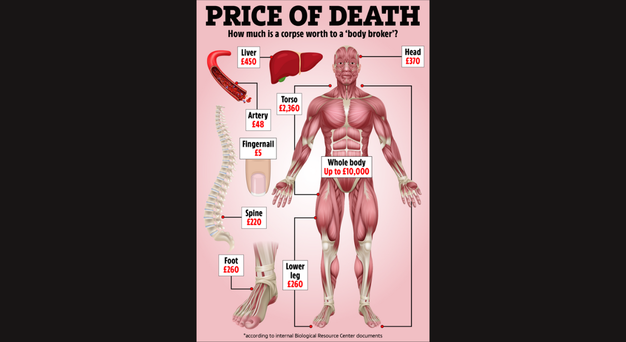 Price of Death