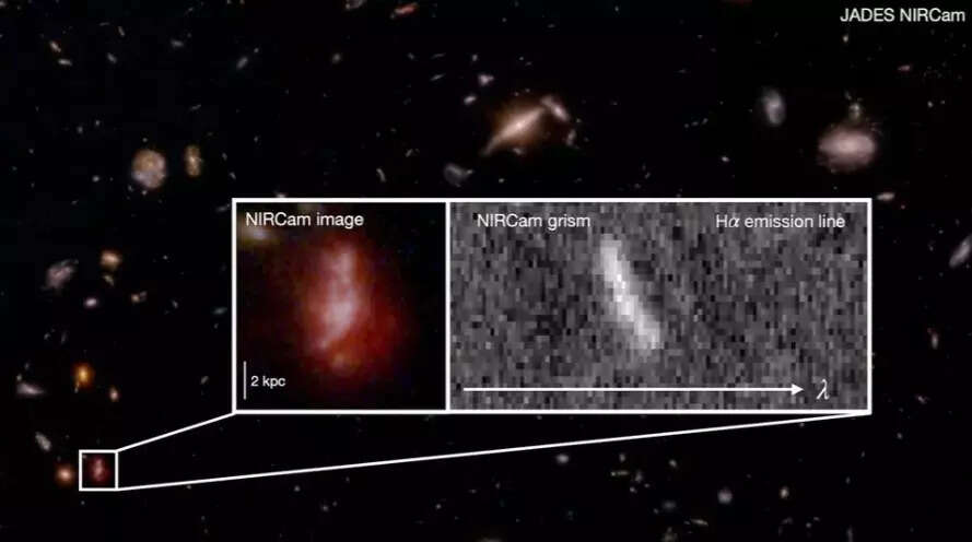 ஜேம்ஸ்வெப்