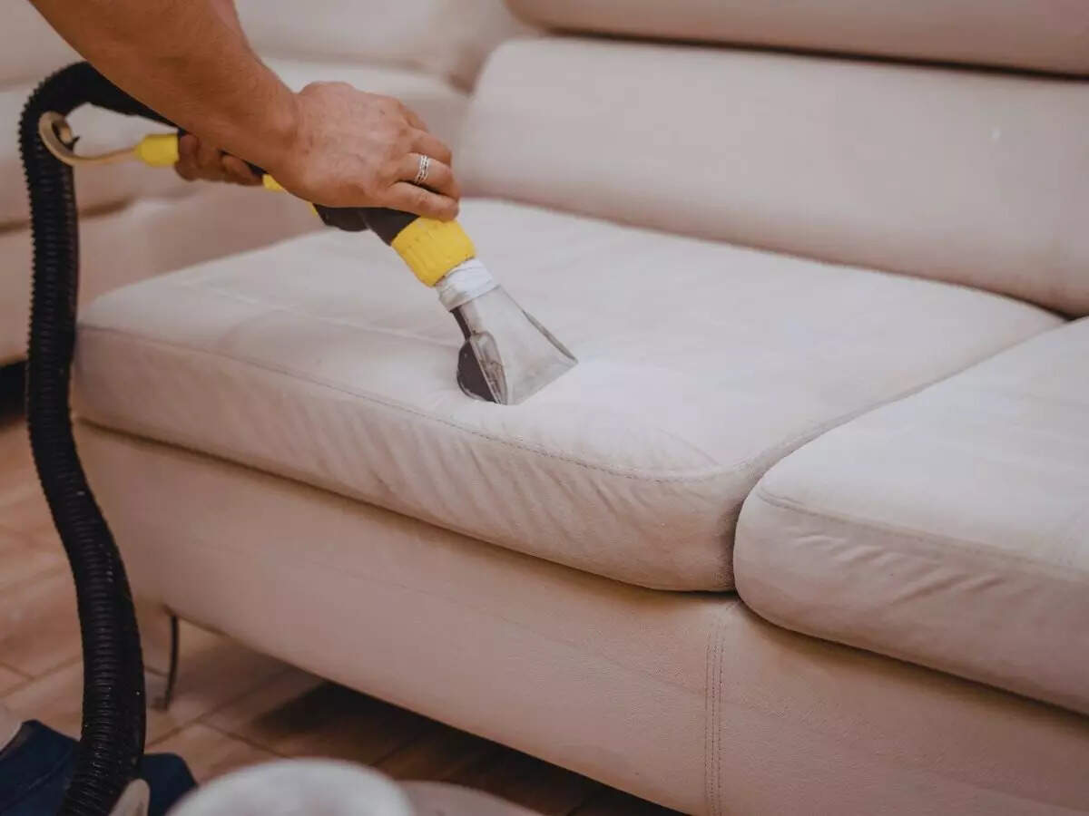 sofa cleaning