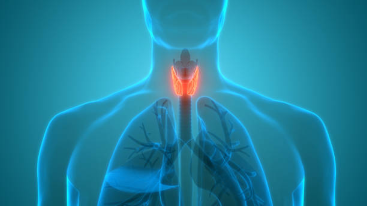 When thyroid goes untreated, the heart pays the price: Doctor shares symptoms and preventive tips