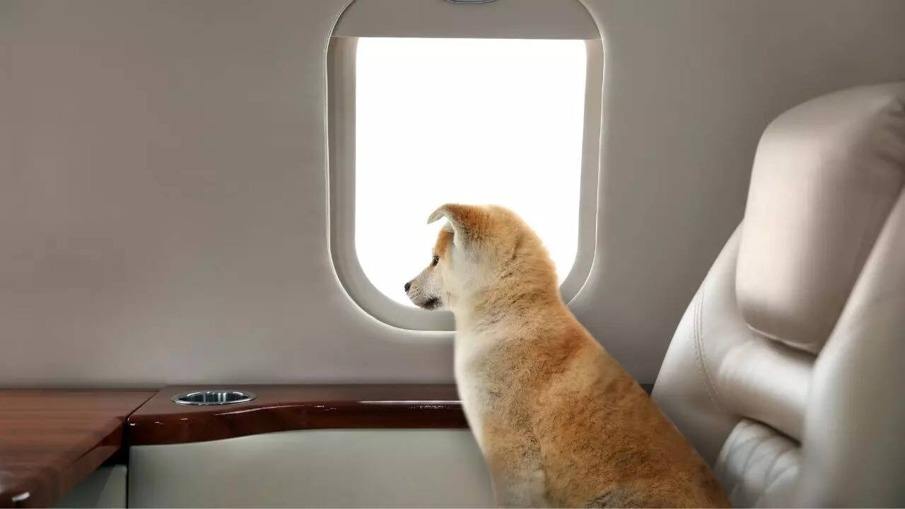 ​​​Pick the right seat for comfort and safety