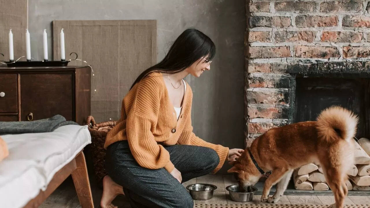 ​​Avoid feeding right before the flight