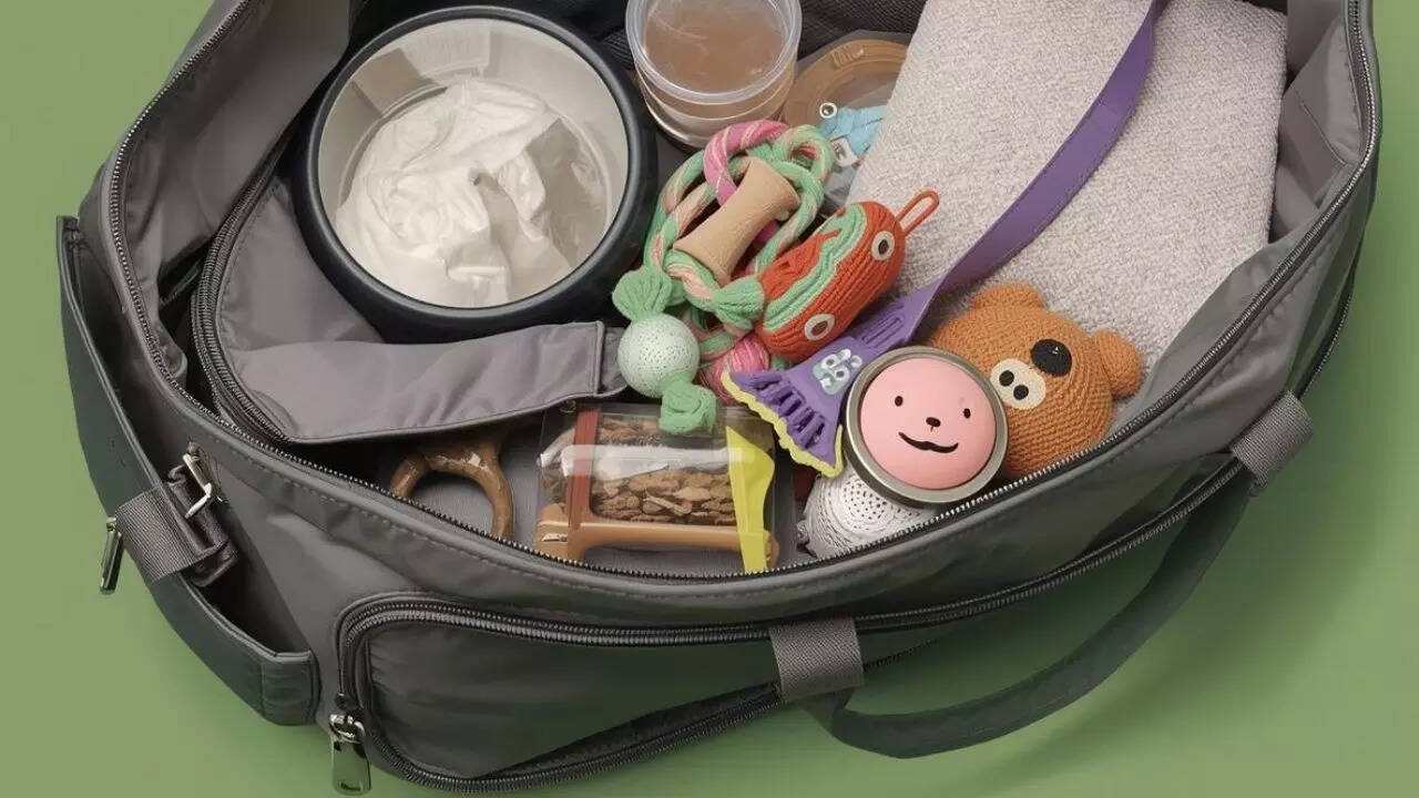 ​​​Pack a small pet travel kit