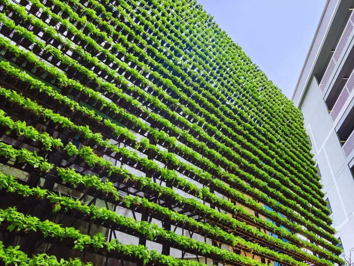 Vertical garden