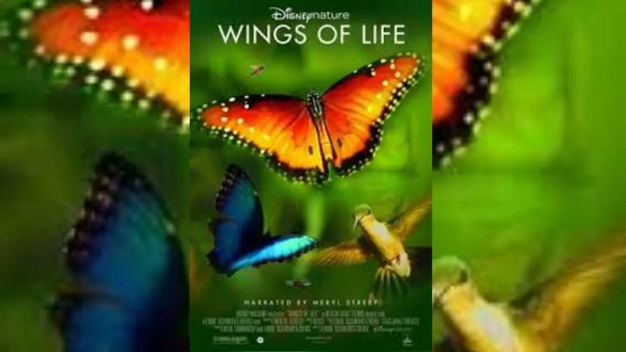 Wings of life