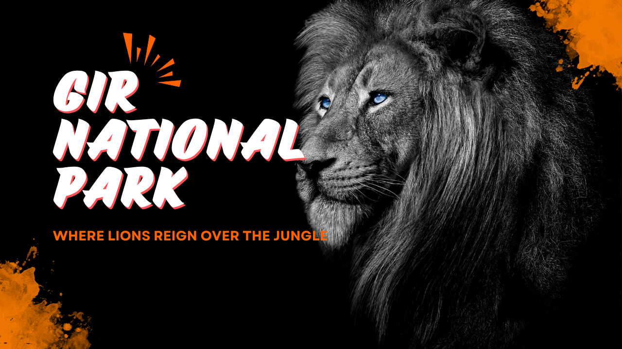 கிர் சஃபாரி