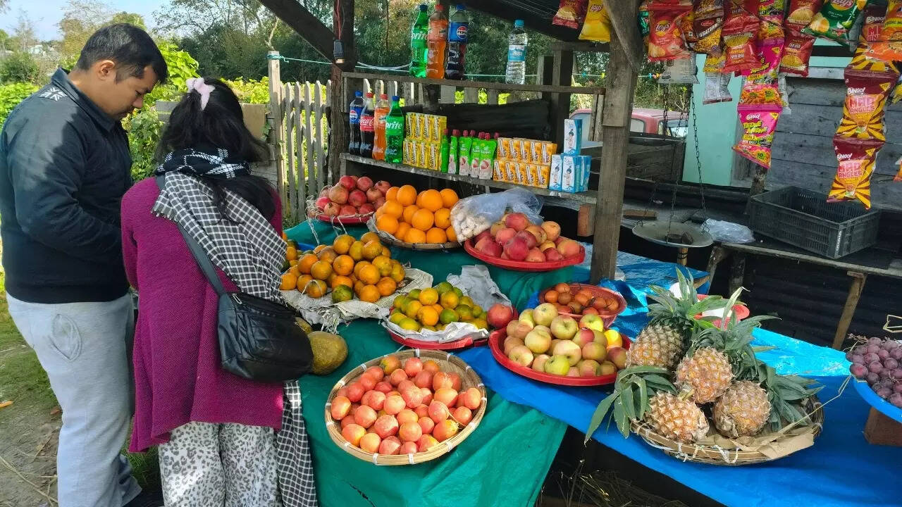 A lady shopkeeper sells fresh fruits