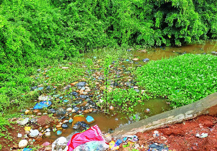 High court directs urgent action on Sal river contamination issue