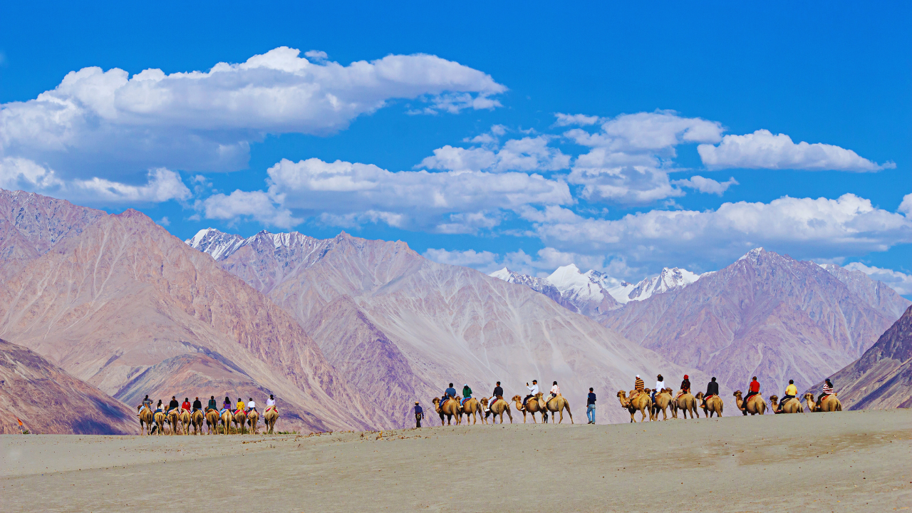 வேட்டையாடு